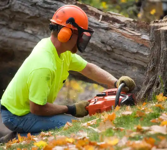 tree services Claremont